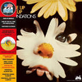 The Foundations - Build Me Up Buttercup - Indie LP [ Record ]