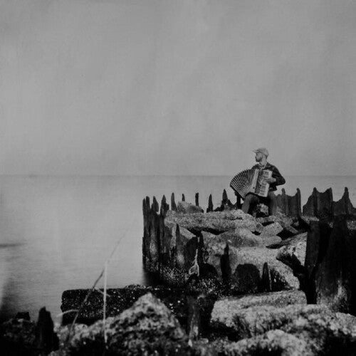 Walt McClements: A Hole In The Fence [ Vinyl ]