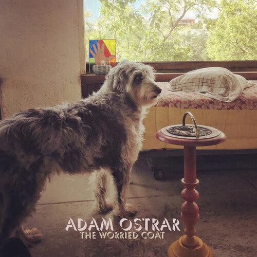 Adam Ostrar: The Worried Coat [ Vinyl ]