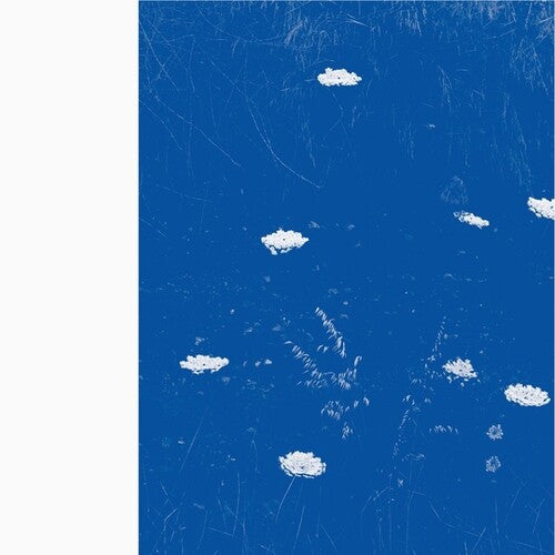 Merzbow: Flare Blues [ Vinyl ]