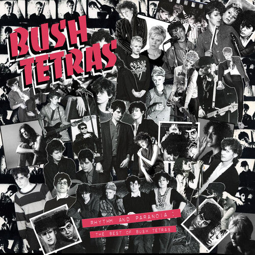 Bush Tetras: Rhythm & Paranoia: The Best of Bush Tetras - CD