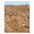 Andrew Pekler: Palimpsests [ Vinyl ]