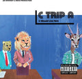 C Trip A: U Should Live Here { CD }
