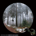 Krystian Shek: Despite Our Silence - COMPACT DISCS