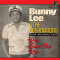 Lee, Bunny & Aggrovators: Run Sound Boy Run - COMPACT DISCS