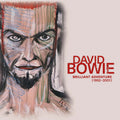 David Bowie - Brilliant Adventure 1992 - 2001 18x LP Box Set [ Record ]