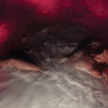 Hayley Williams: FLOWERS for VASES/descansos - CD