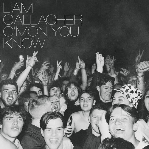 Liam Gallagher: C'mon You Know - VINYL