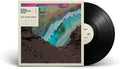St Paul & the Broken Bones: Alien Coast - VINYL
