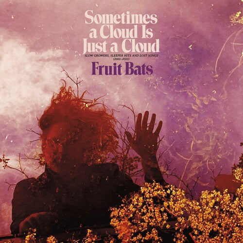 Fruit Bats -  Sometimes a Cloud Is Just a Cloud: Slow Growers, Sleeper Hits and Lost Songs - LP [ Record ]