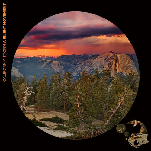 California Storm: A Silent Movement - COMPACT DISCS