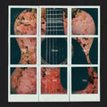 Dashboard Confessional: All The Truth That I Can Tell - VINYL