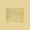 Steve Roden: Radio Airria (Hanging Garden) / Vein Stem Is Calm [ Vinyl ]