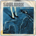 Soulwax - Much Against Everyone's Advice - LP [ Record ]