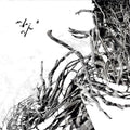 Negura Bunget: Virstele Pamintului - VINYL