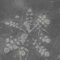Sabla: Music For Melted Floors [ Vinyl ]