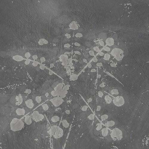 Sabla: Music For Melted Floors [ Vinyl ]