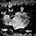 Fort Romeau: Beings of Light (Silver Halide) [ Vinyl ]