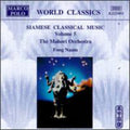 Mahori Orchestra / Naam: Vol. 5 { CD }