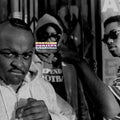 Homeliss Derilex: Fraudulent [ Vinyl ]