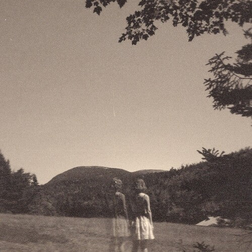 Goldmund: The Malady Of Elegance [ Vinyl ]