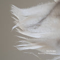 Rob Burger: Marching With Feathers [ Vinyl ]