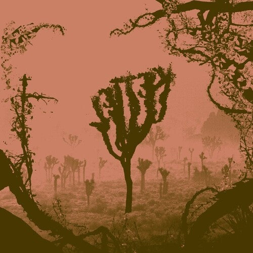 Kettel: My Dogan [ Vinyl ]