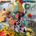 Mamas Gun: Cure The Jones - CD