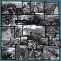 Geography of Hell: Verdun 1916 - COMPACT DISCS