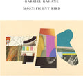 Gabriel Kahane: Magnificent Bird - VINYL