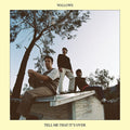 Wallows - Tell Me That It's Over - LP [ Record ]