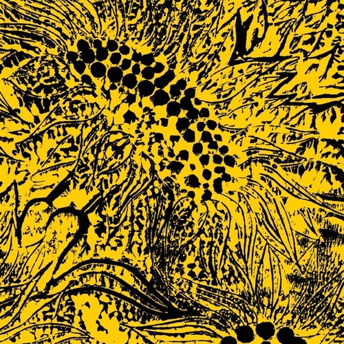 Whiting, Amanda: Little Sunflower - VINYL