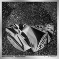 william basinksi: . . . on reflection - COMPACT DISCS