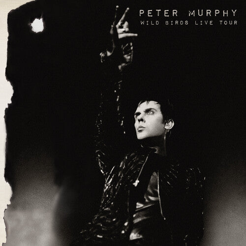Peter Murphy - Wild Birds Live Tour - LP [ Record ]