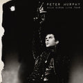 Peter Murphy - Wild Birds Live Tour - LP [ Record ]