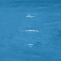 Kauan: Pirut Live - VINYL