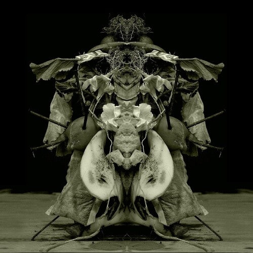 Gurun Gurun: Uzu Oto [ Vinyl ]
