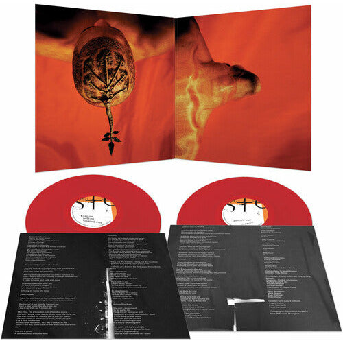 Steve Walsh - Glossolalia - LP [ Record ]