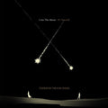 Tedeschi Trucks Band -  I Am The Moon: IV. Farewell - LP [ Record ]