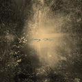 Mondkopf: Spring Stories - COMPACT DISCS