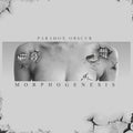 Paradox Obscur: Morphogenesis [ Vinyl ]