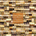 Terry Riley: Organum for Stefano - COMPACT DISCS
