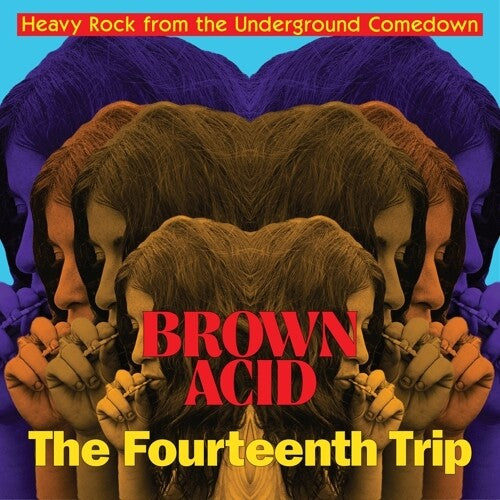 Various Artists - Brown Acid: The Fourteenth Trip - LP [ Record ]