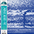 Jaine Roman-Pitt: The Beautiful Feeling [ Vinyl ]