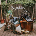 Slaughter Beach Dog: Birdie - Olive Green - VINYL