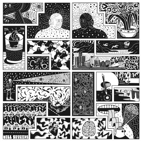 Will Sessions: Electromagnetic Reality - VINYL