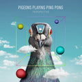 Pigeons Playing Ping Pong - Perspective - LP [ Record ]