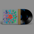 Los Punsetes: Espana Necesita Conocer - VINYL