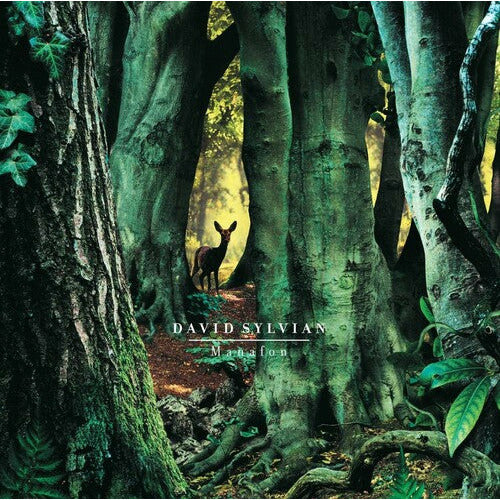 David Sylvian - Manafon - LP [ Record ]