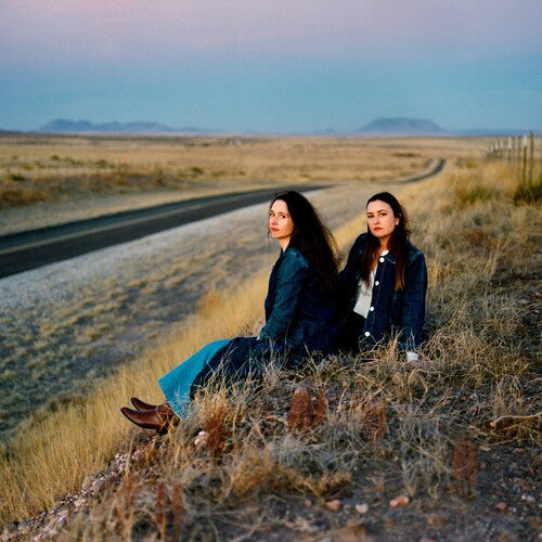 The Plains - I Walked With You A Ways - Indie LP [ Record ]